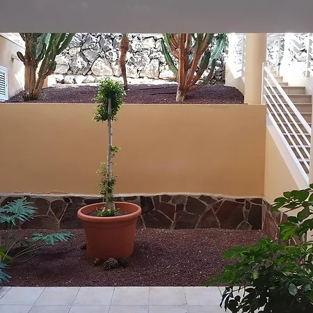 Apartment Oasis La Caleta